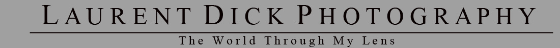 Laurent Dick Photography logo